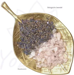 YoZenga Oogkussen Met Rozekwarts & Biologische Lavendel | Kristallen/edelstenen | Kleur: Lightcoral | Yoga | Meditatie | Ontspanning | Ideaal Bij Hoofdpijn & Stress Klachten -Merkloos Verkoop 1184x1200 8