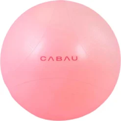 Cabau Lifestyle Fitnessbal 65 Cm - Zwangerschapsbal - Gymbal Met Pomp - Yogabal - Zitbal Voor Goede Houding Thuiswerken -Merkloos Verkoop 1200x1189 6