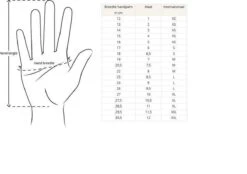 Merkloos Handschoenen - Touchscreen - Grip - Waterafstotend - Thermisch - Wintersport - Ski/Snowboardhandschoenen - Fietshandschoenen - Dames - Maat M - Stretch - Roze -Merkloos Verkoop 1200x846 5